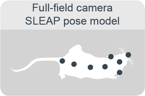 sleap-pose-model